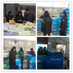 平川區(qū)衛(wèi)生監(jiān)督所開展節(jié)前消毒產(chǎn)品和餐飲具集中消毒專項檢查活動